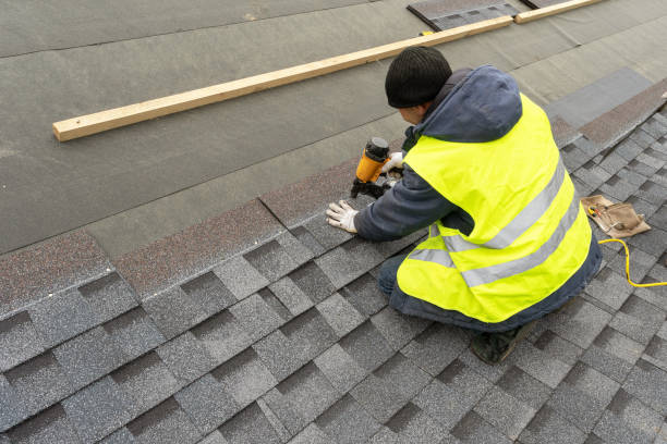 Best Roof Gutter Cleaning  in Rochelle, IL