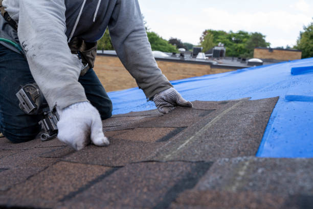 Tile Roofing Contractor in Rochelle, IL