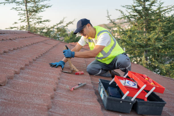 Best Affordable Roofing Company  in Rochelle, IL